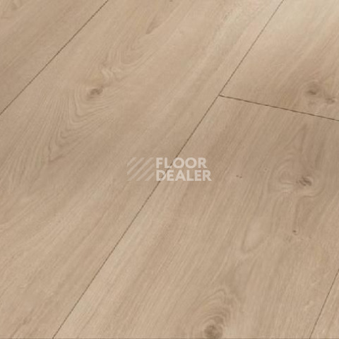 Ламинат Parador Basic Plus 600 XS 1593829 Дуб Авант Шлифованный фото 1 | FLOORDEALER